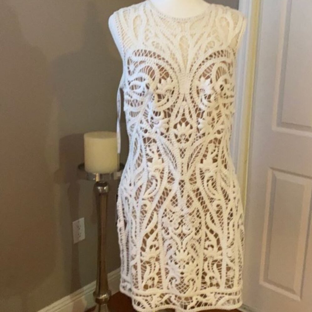 Tadashi Shoji NWT Illusion Crochet Lined Dress - Picture 15 of 16